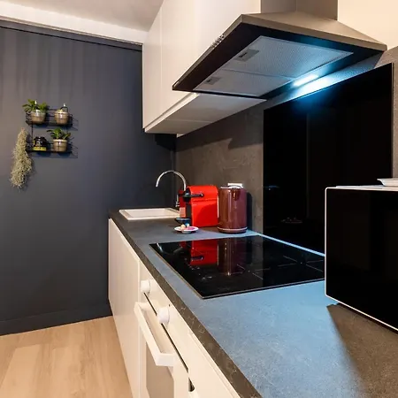 Le Perret-cathedrale Centre-ville Wifi Netflix Apartment
